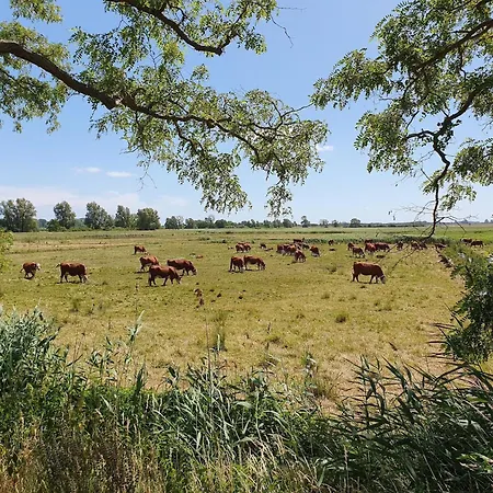 Im Seepark Διαμέρισμα *