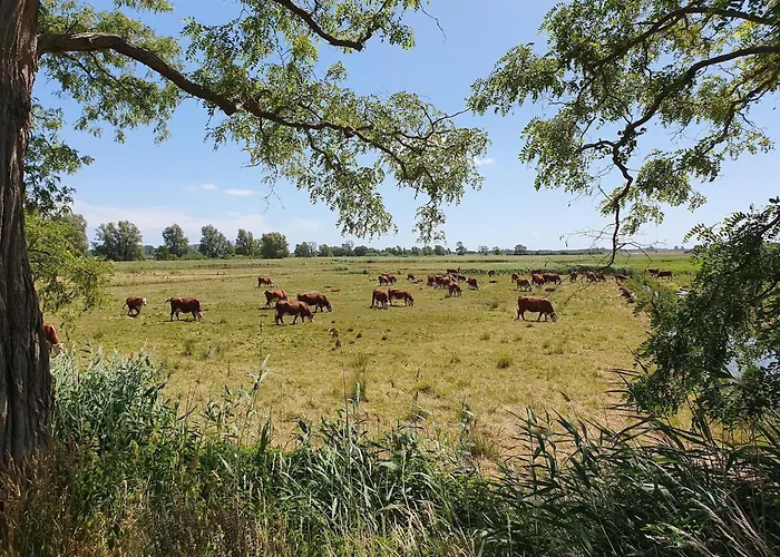 Im Seepark Apartman *